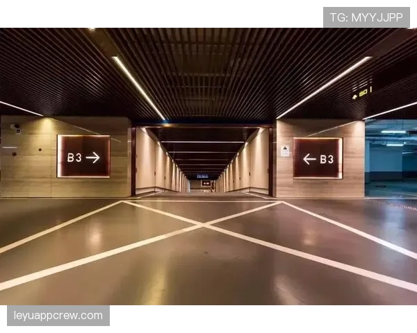 李宗伟退役后住的豪宅，光车库就比我家还大